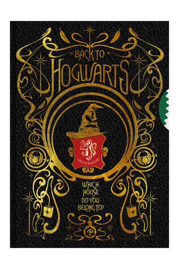 Harry Potter bloc-notes Spinner Colourful Crest (carton de 6)