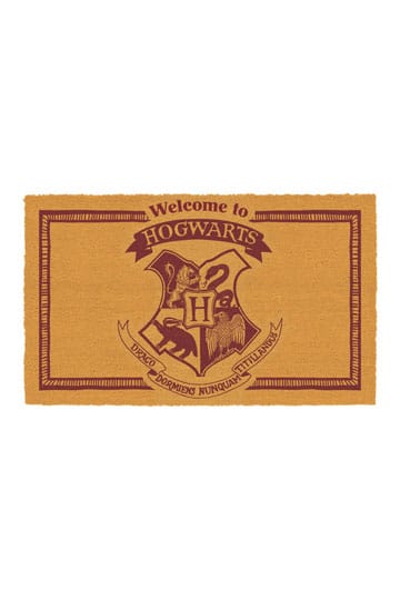HARRY POTTER - Welcome to Hogwarts (Panini) - Figurine Forever