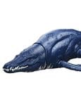 Jurassic World: Survival Action Figure Wild Roar Brachauchenius