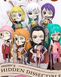 Mighty jaxx - One Piece - Blind Box - Hidden Dissectibles (Series 5 Ladies Edition) - One Piece anime figure