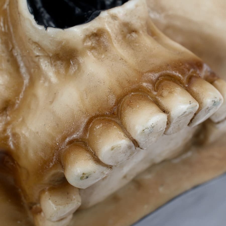Warhammer 40,000 Mug Servo Skull [6]