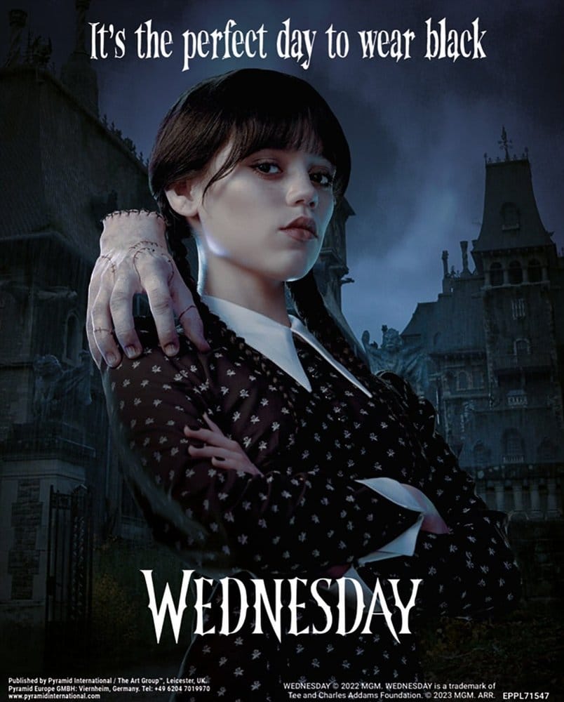 Wednesday Wednesday 3D Lenticular Poster Perfect Day 26 x 20 cm