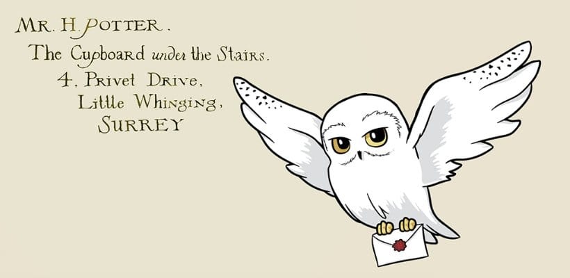 PRECOMENZI - Harry Potter Premium Mug Hedwig 444 ml