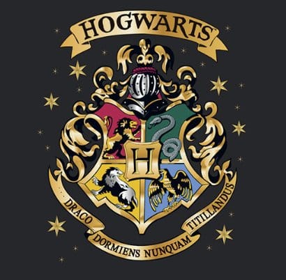 PRECOMENZI - Harry Potter Premium Mug Hogwarts 444 ml
