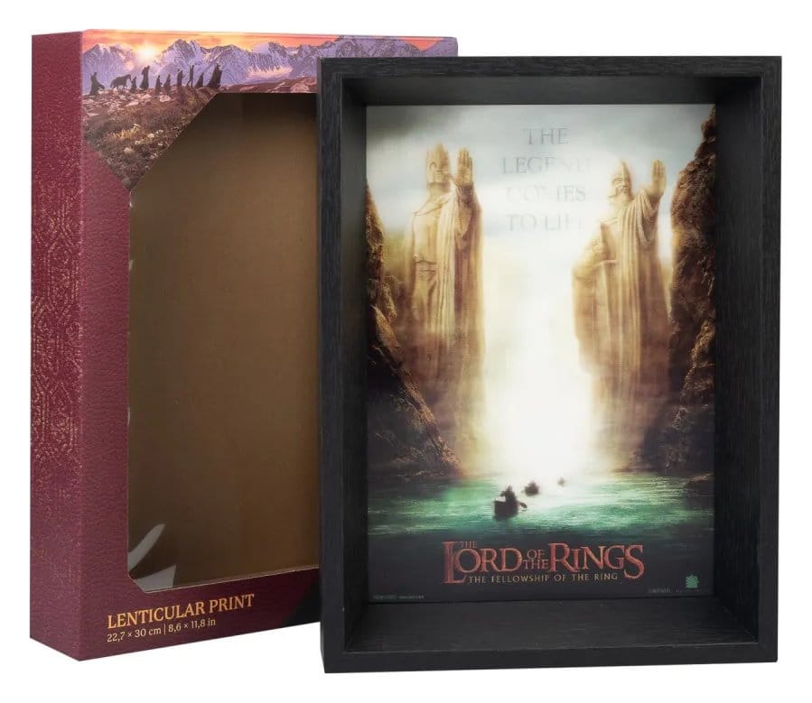 PRECOMENZI - The Lord of the Rings Framed Print