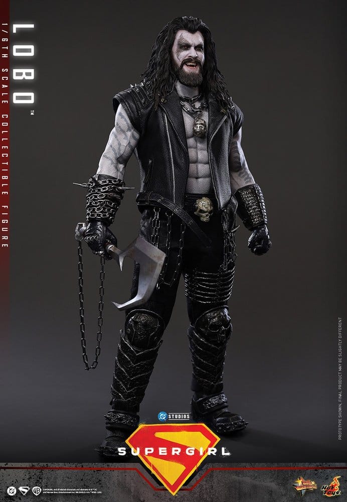 DC Comics Movie Masterpiece Action Figure 1/6 Lobo 33 cm [6]