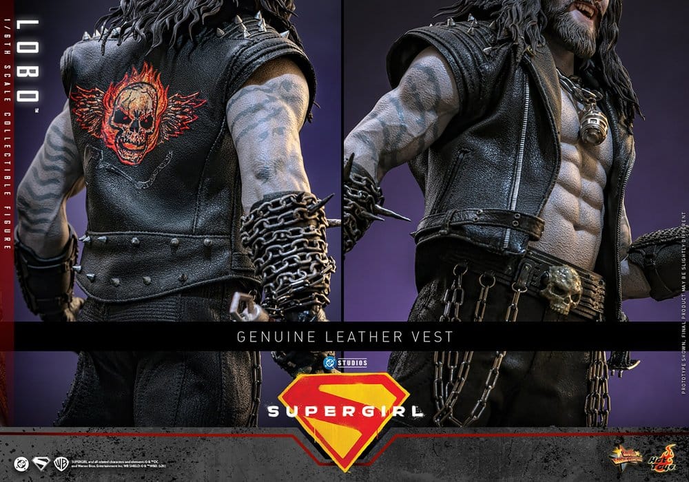 DC Comics Movie Masterpiece Action Figure 1/6 Lobo 33 cm [15]