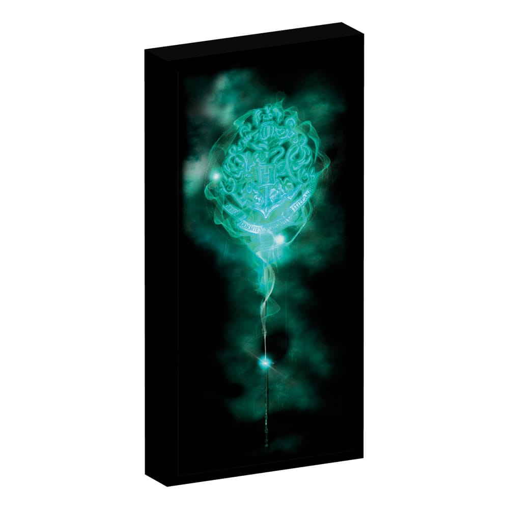 Joy Toy (IT) Harry Potter Canvas Poster (With Light)