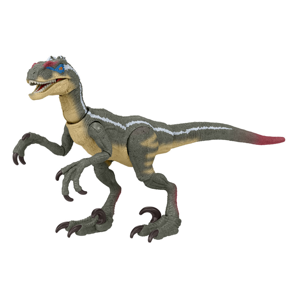 Jurassic World Hammond Collection Action Figure Velociraptor