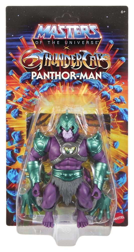 Masters of the Universe x ThunderCats Action Figure Panthor Man 14 cm [2]