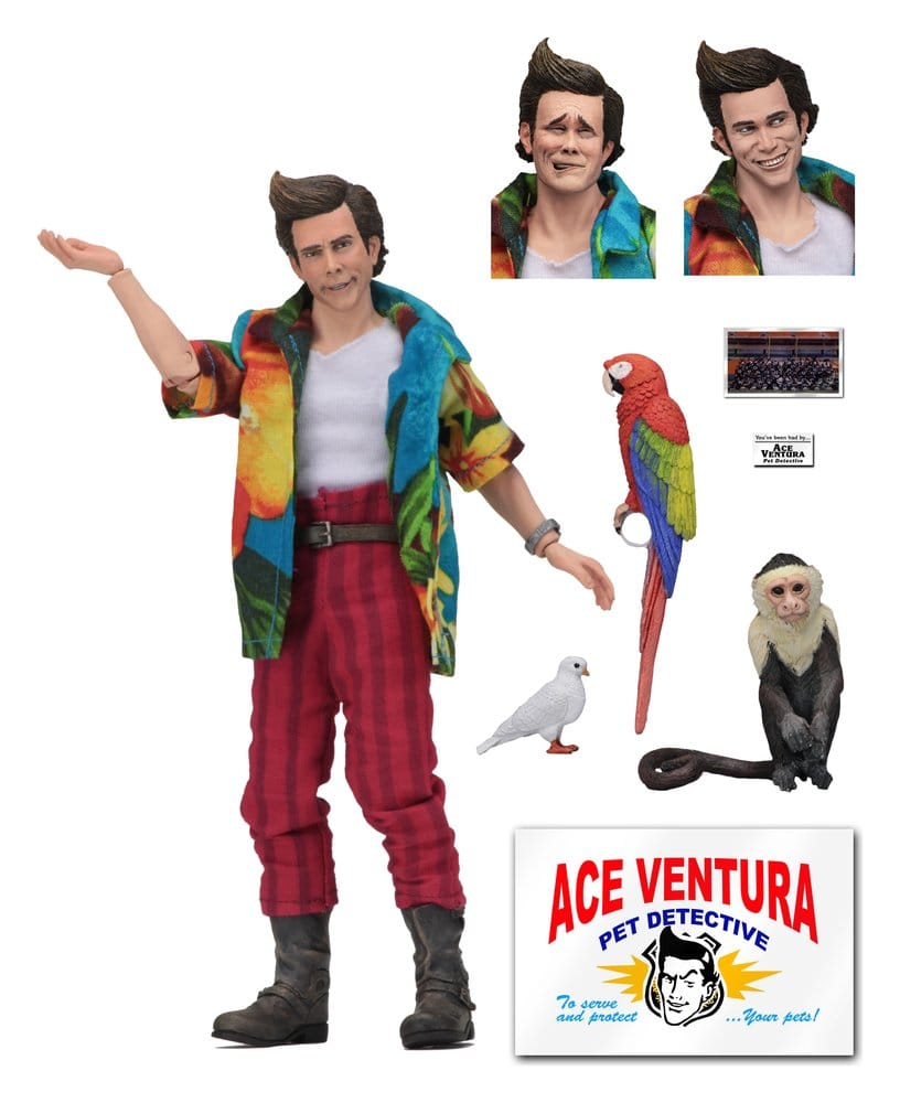 PRECOMENZI - Ace Ventura Clothed Action Figure Ace Ventura 20 cm