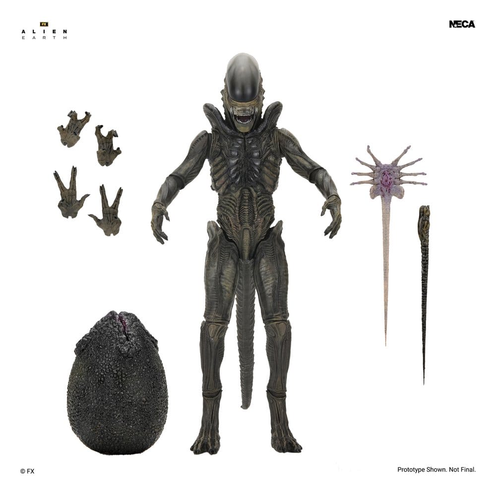 PRECOMENZI - Alien: Earth Ultimate Action Figure Xenomorph 18 cm