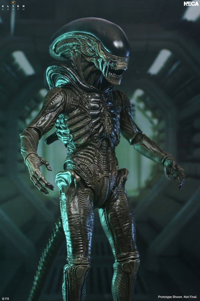Alien: Earth Ultimate Action Figure Xenomorph 18 cm [1]