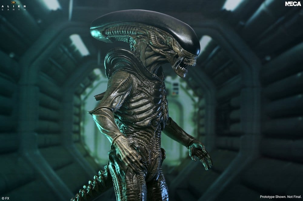 Alien: Earth Ultimate Action Figure Xenomorph 18 cm [2]
