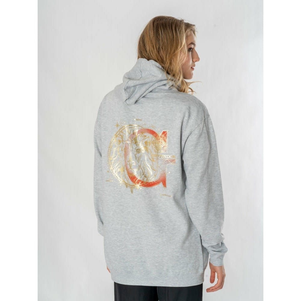 Harry Potter Hooded Sweater Gryffindor Zodiac Size XXL
