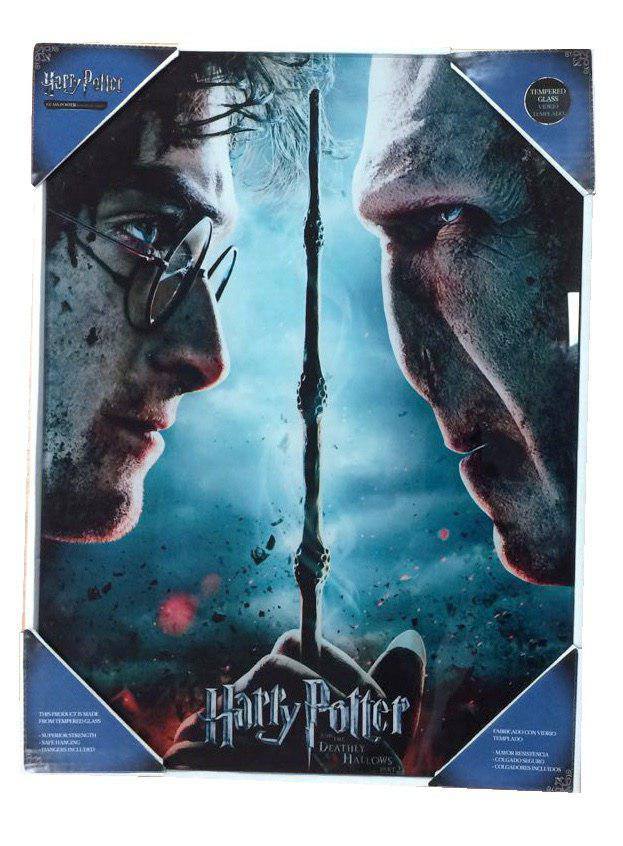 SD Toys Harry Potter Glass Poster Harry & Voldemort 30 x 40 cm