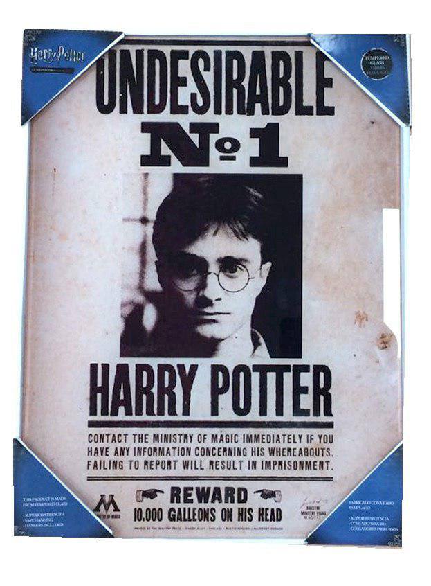 SD Toys Harry Potter Glass Poster Undesirable No. 1 30 x 40 cm