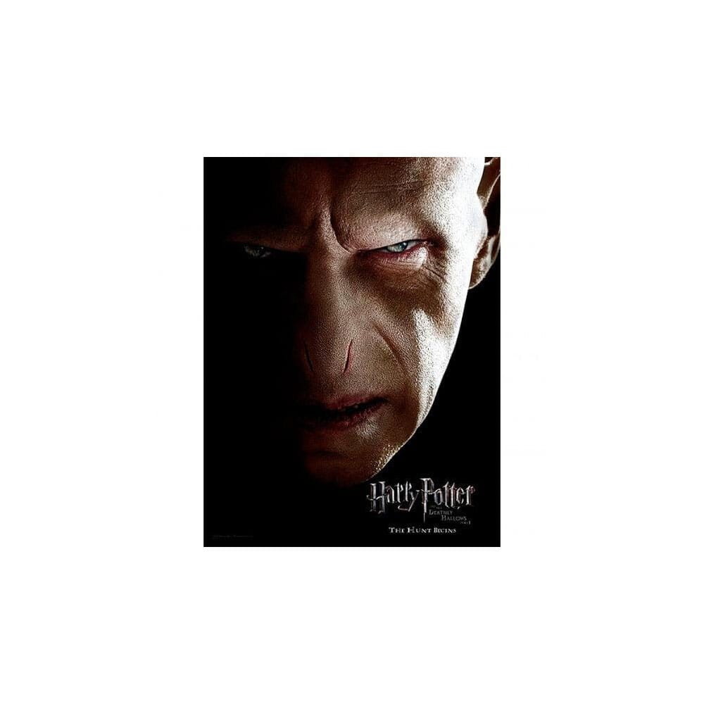 SD Toys Harry Potter Glass Poster Voldemort 30 x 40 cm