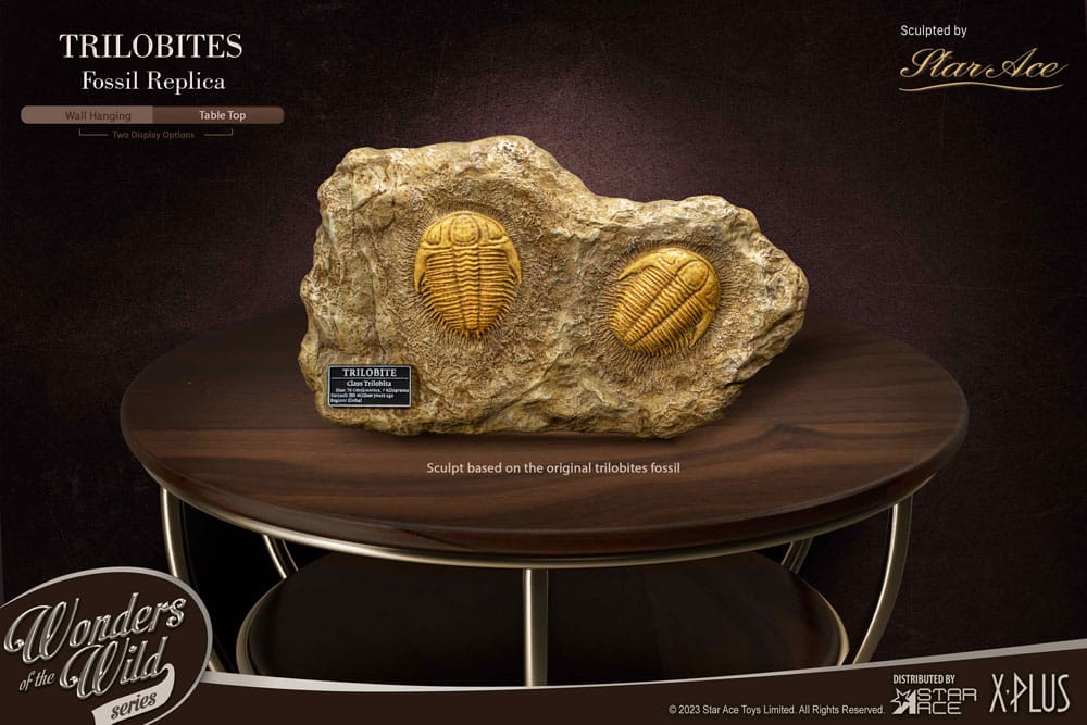 Wonders of the Wild Series Statue 1/1 Trilobites Miniature Frame & Fossil 15 cm