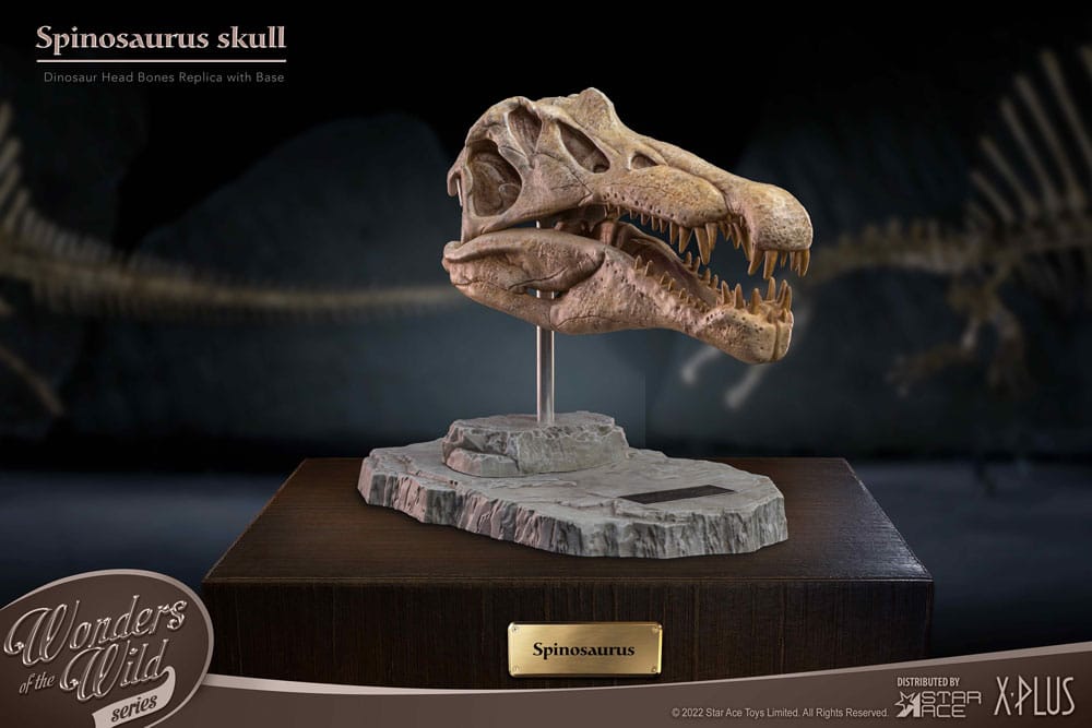 Wonders of the Wild Series Statue Spinosaurus Head Skull 30 cm