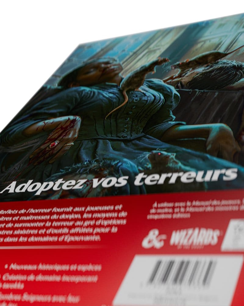 Dungeons & Dragons RPG Ravenloft: Les Reflets de l'Horreur Book *French Version* [14]